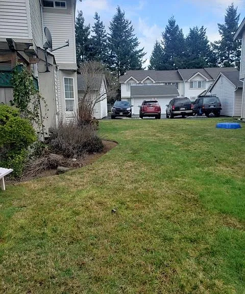 Shared Side Lawn