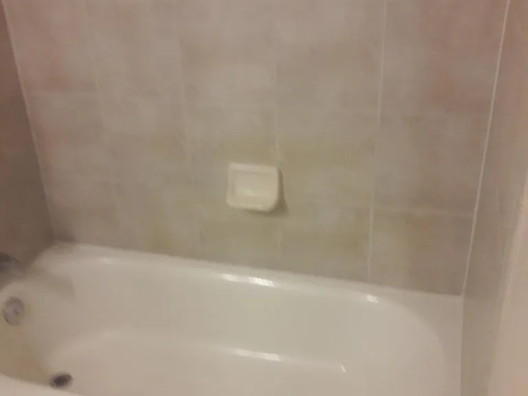 517 Belvidere St #B — Photo 16