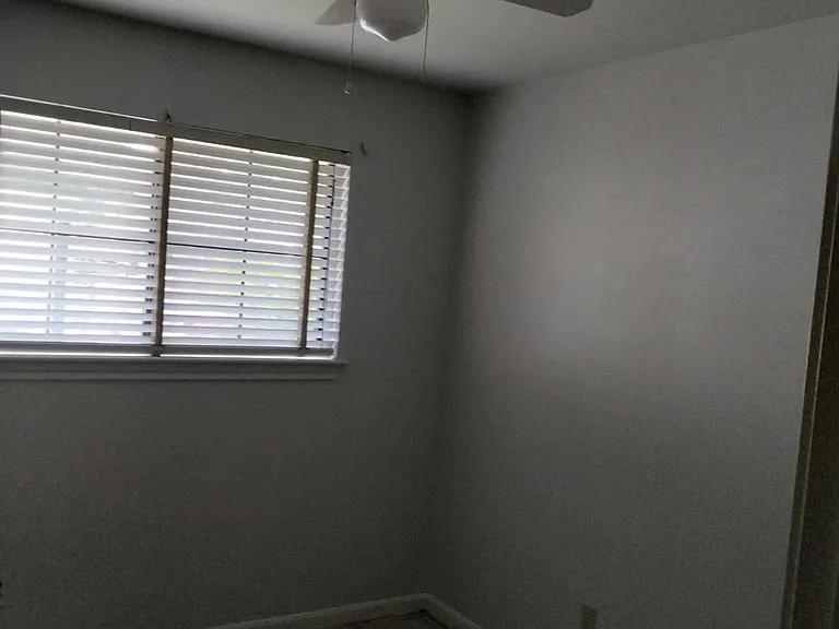 3414 Bristlecone Trl — Photo 11
