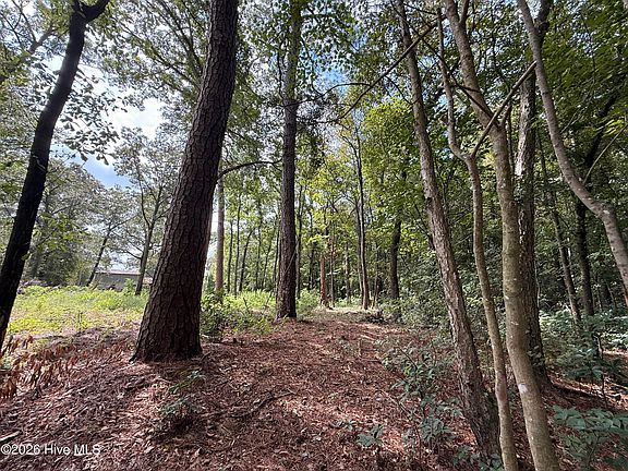5th image of Lot 3a Holland Road