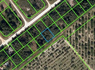 2259 N Lanier Blvd, Avon Park, FL 33825