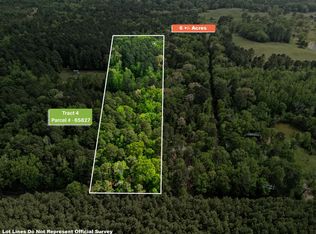 Chinaberry Rd Tract 4, Gilmer, TX 75645