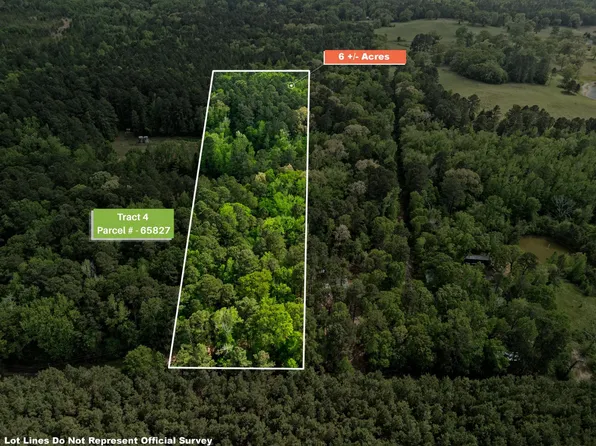 Chinaberry Rd Tract 4, Gilmer, TX 75645