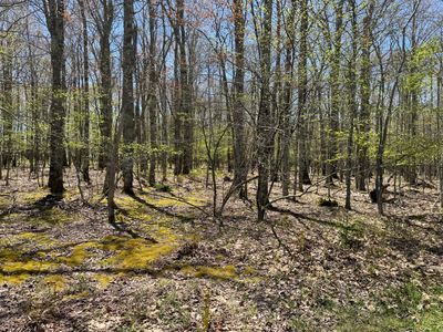 27 Hunters Rdg, Snowshoe, WV, 26209