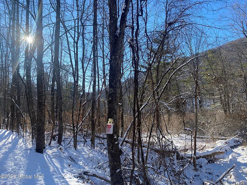 5th image of 165 Shaker Hollow Road