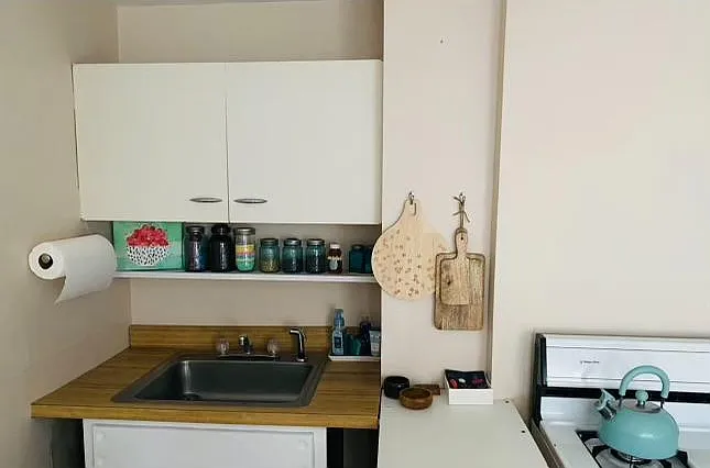 15 Lincoln Ave #2 — Photo 7