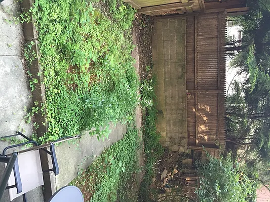 Rented by Francine Realty | media 42