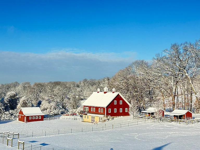 Light snow in winter
