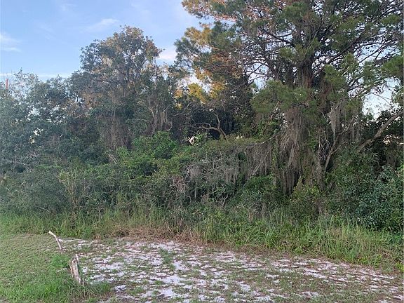 5th image of 245 Loquat Rd NW