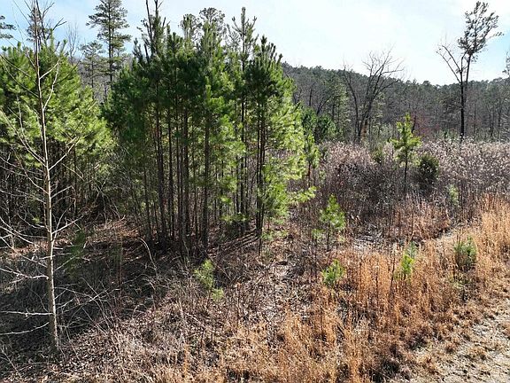 2nd image of TRACT 10 Grassy Ln