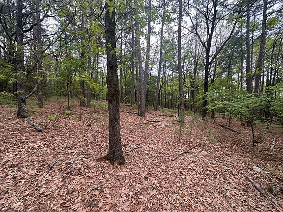 4th image of 300 A Mountain Rd