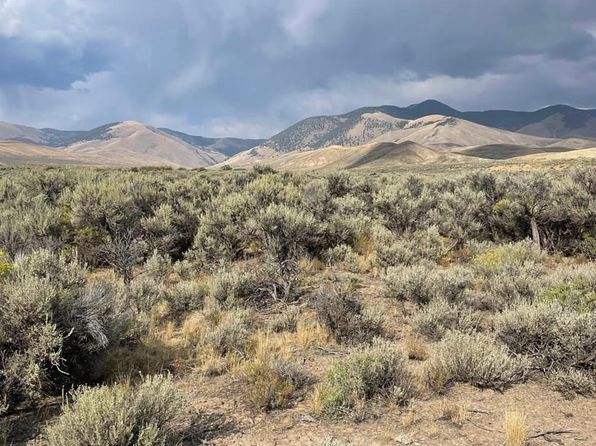 Jackson Rd, Leadore, ID 83464