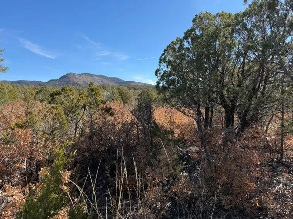 Milton Rd, Timberon, NM 88350