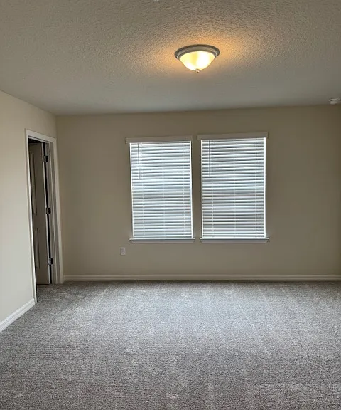92 Violet Vine Ln — Photo 6