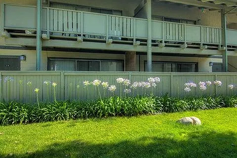 Brooklake — Photo 22