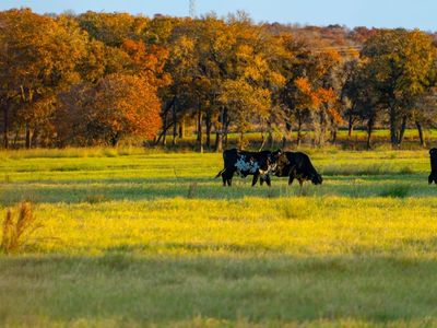 123 S State Hwy, Seguin, TX, 78155