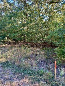 291 Buena Vis, Malakoff, TX, 75148