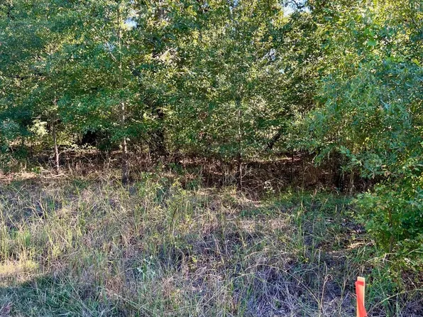 291 Buena Vis, Malakoff, TX 75148