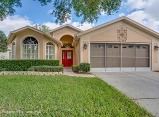 11207 Heathrow Ave, Spring Hill, FL 34609