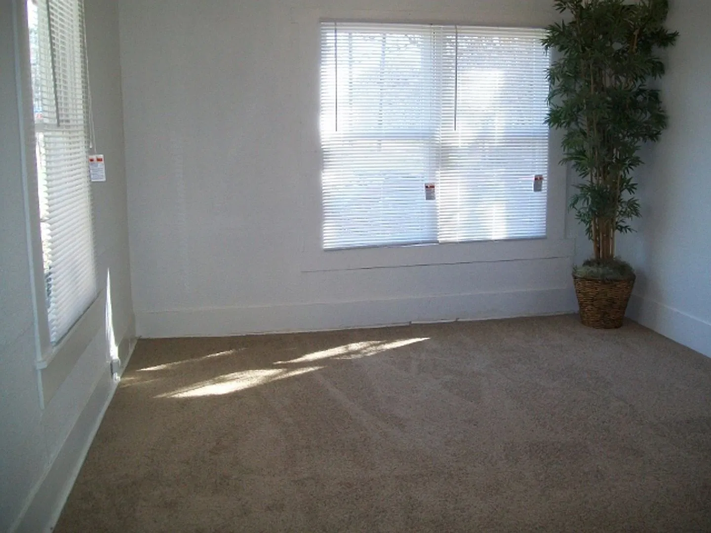110 Gladstone — Photo 2