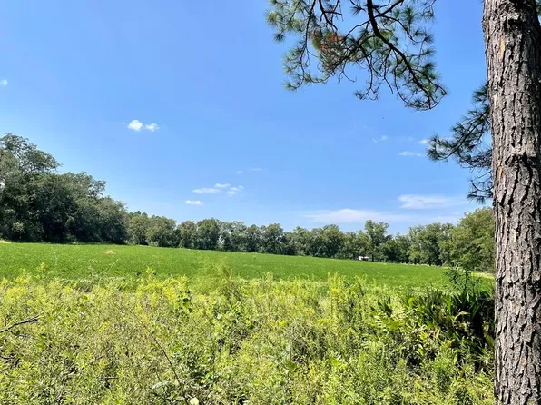 TRACT 6 Indian Camp Rd, Ray City, GA 31645