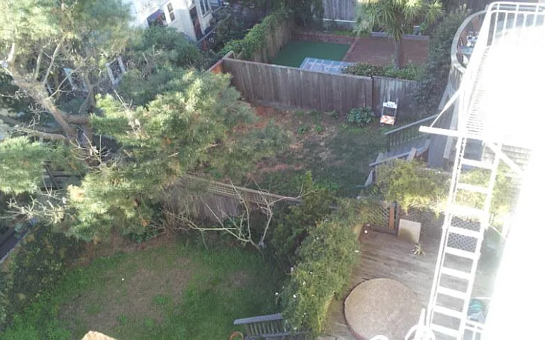 905 Ashbury St #2 — Photo 31