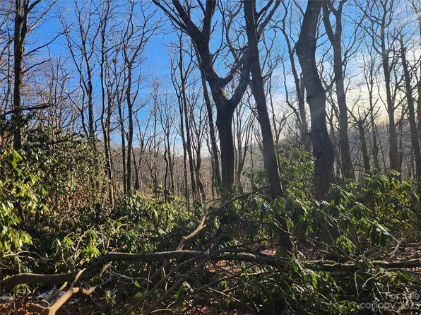 165 Glenmore Ln #5, Blowing Rock, NC 28605