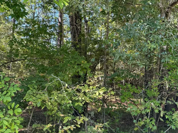 0 Caney Ct Lot 1111, Huntsville, TX 77320