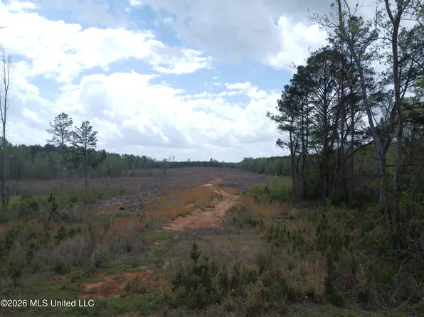 5244 Mississippi #496, Toomsuba, MS 39364