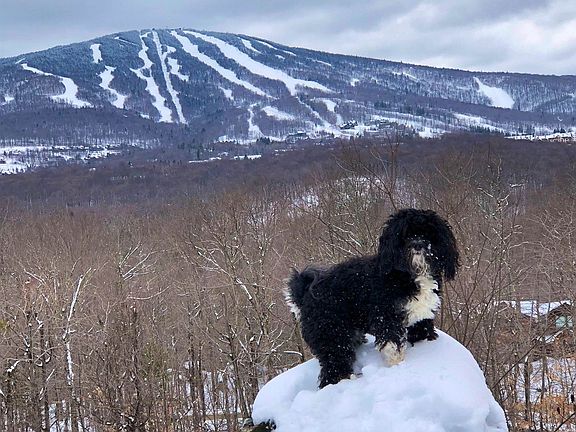 5th image of 0 Mountain Haunts