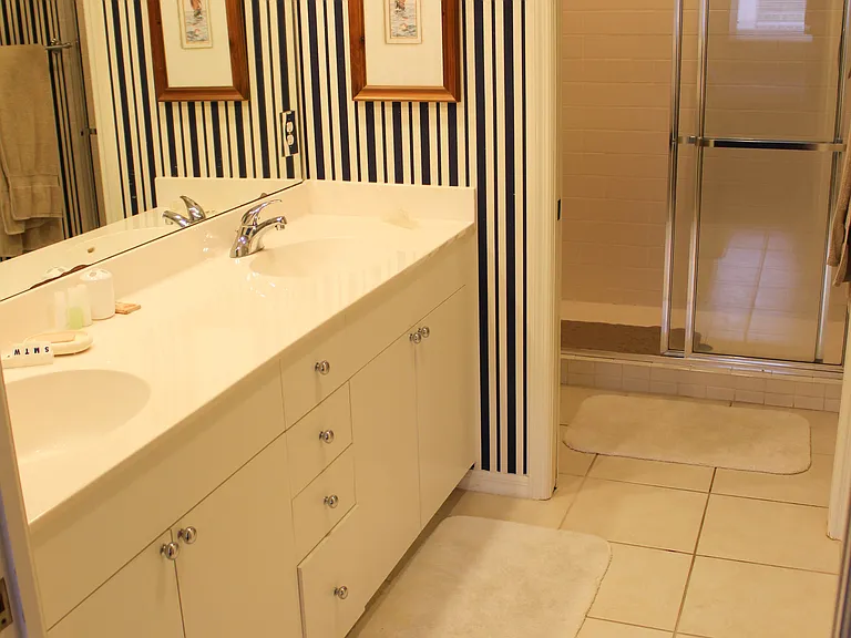Main bath step in shower with dual sinks