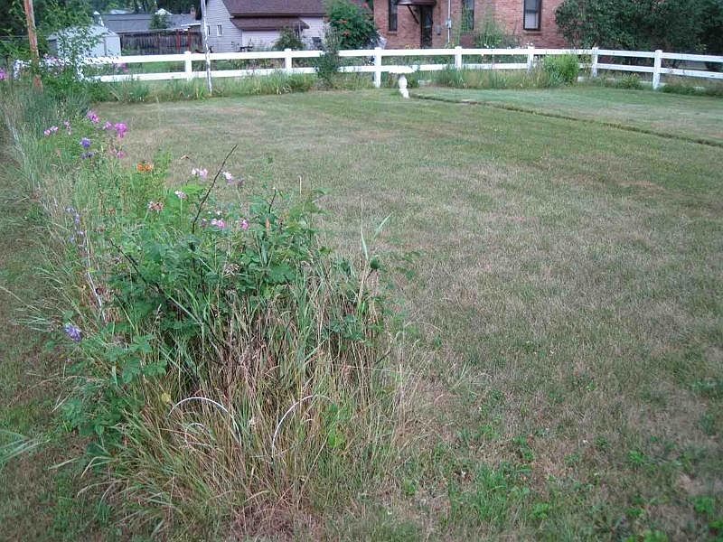 2nd image of 1341 Chestnut St