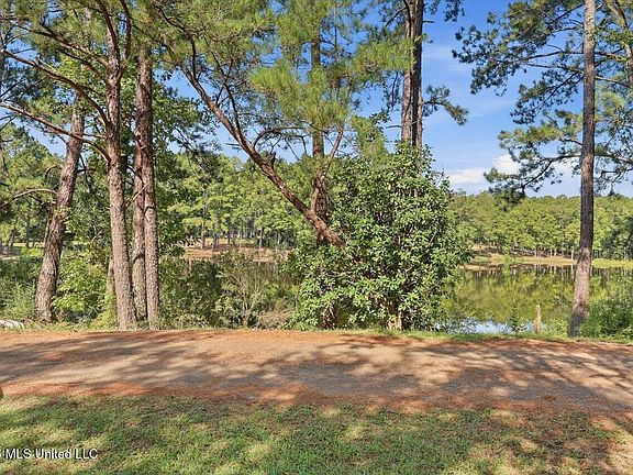 4th image of 103 Johnny Rawls Rd