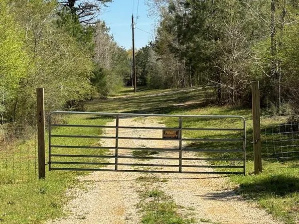 42 Tom Warner Rd, Tylertown, MS 39667