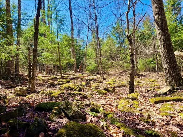 0 Townsend Hollow Rd #21, Pine Hill, NY 12465