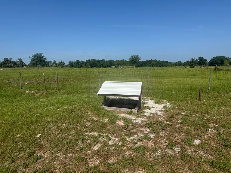 Chicken Feed Station