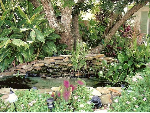 Pond up Close w/Waterfall