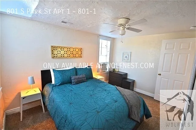 801 S Park St #1 — Photo 17