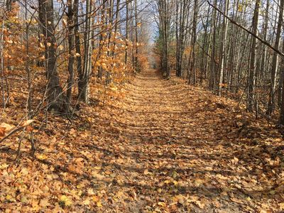 Bonnett Rd, Cheboygan, MI, 49721