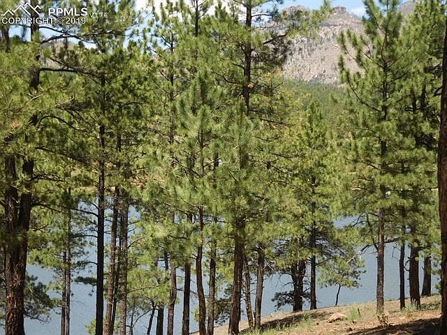 2nd image of 15084 Pine Lake Dr