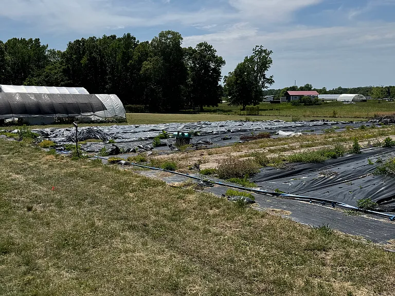 Four acres of fenced land, including greenhouse, irrigation, ready to plant beds, pasture and equipment available at additional cost.