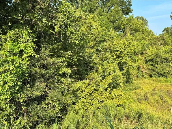 0 River Rd Lot 2, Colfax, LA 71417