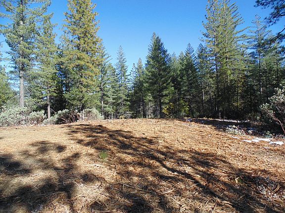 2nd image of Acres 40 Ringtail Rd