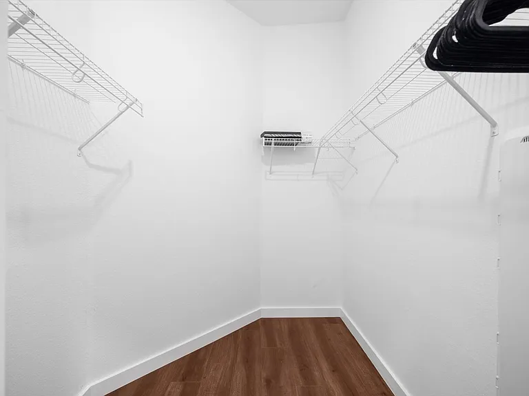 Primary Closet