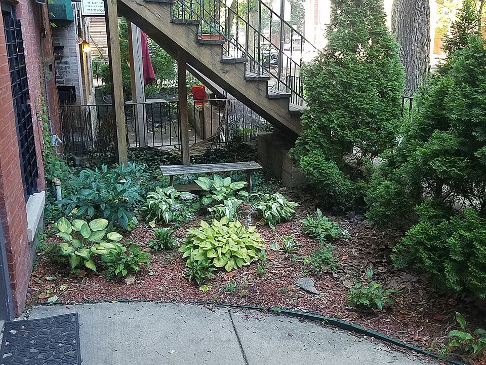 Front Yard/Patio