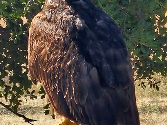 3rd image of 0 Interlake Rd