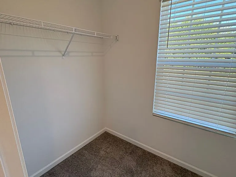 19 Napier Ct — Photo 26