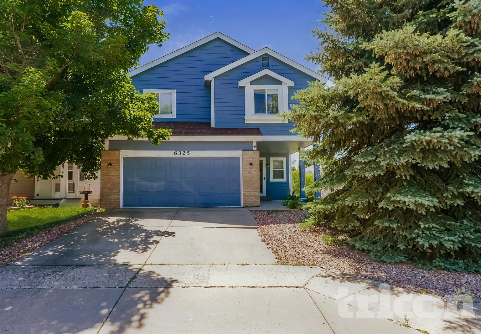 6325 Blazing Star Drive Colorado Springs CO — Photo 1