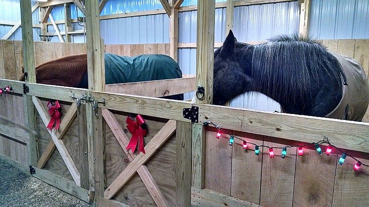 2 matted stalls 200+hay&feed