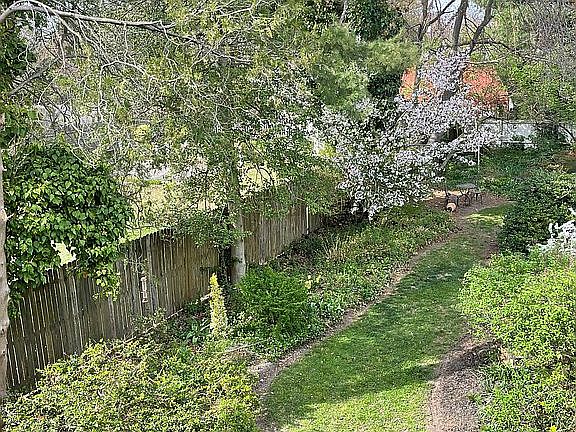 Back yard.